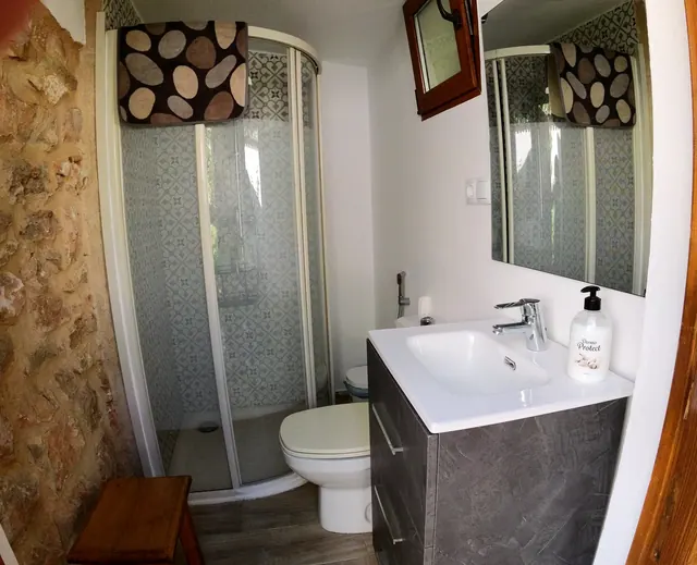 Baño con ducha y pared de piedra vista