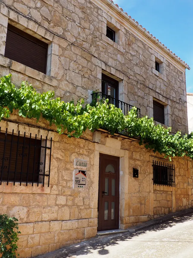 Entrada de la casa bajo la parra