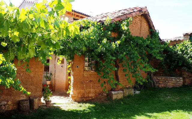 Rincón de adobe del patio cubierto de parra